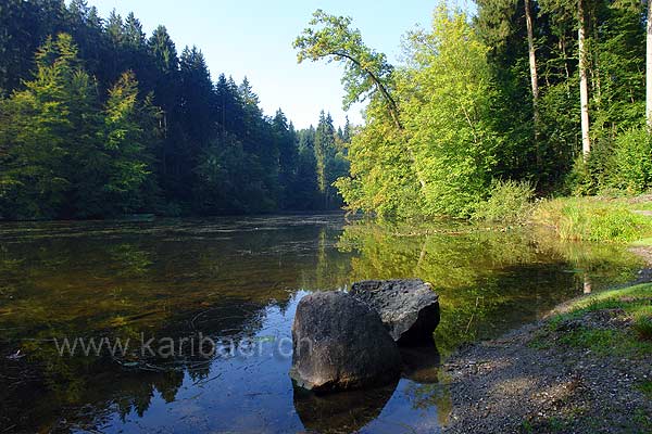Waldweiher (83913)