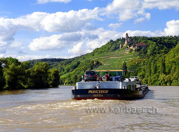 Auf dem Neckar (09393)