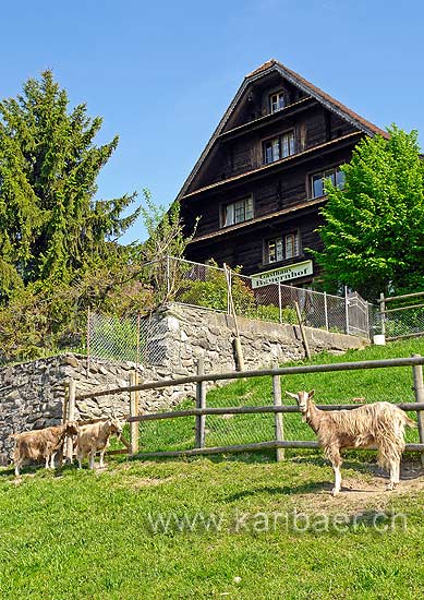 Bauernhof (81054)