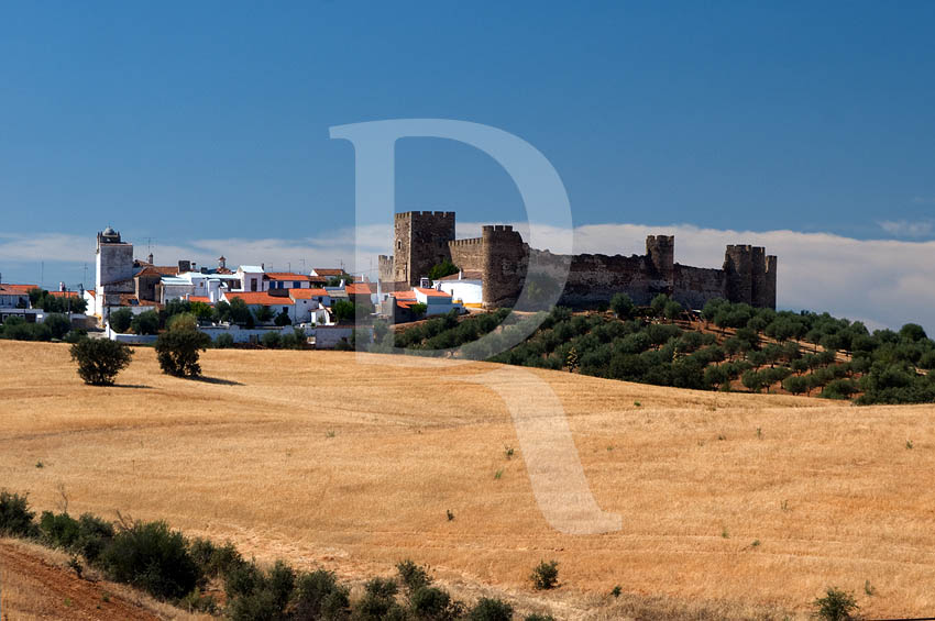 Castelo de Terena (MN)