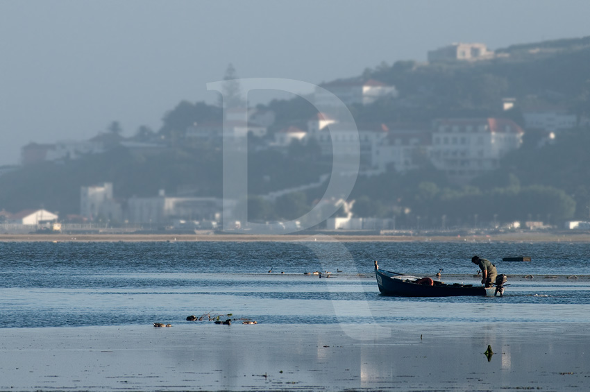 A Lagoa de bidos em 9 de agosto de 2011