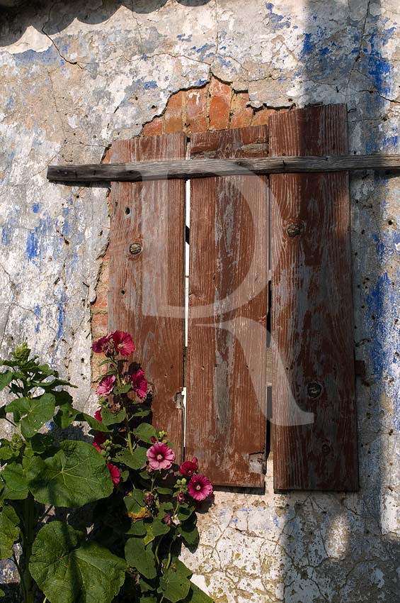 Nadadouro