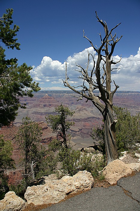 143_4376 web.JPG
