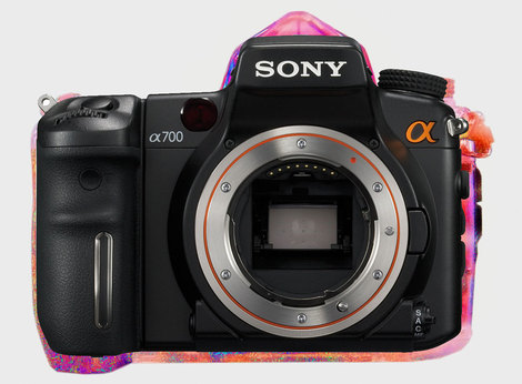 Alpha 700 Shape  Versus Alpha 900 Shape