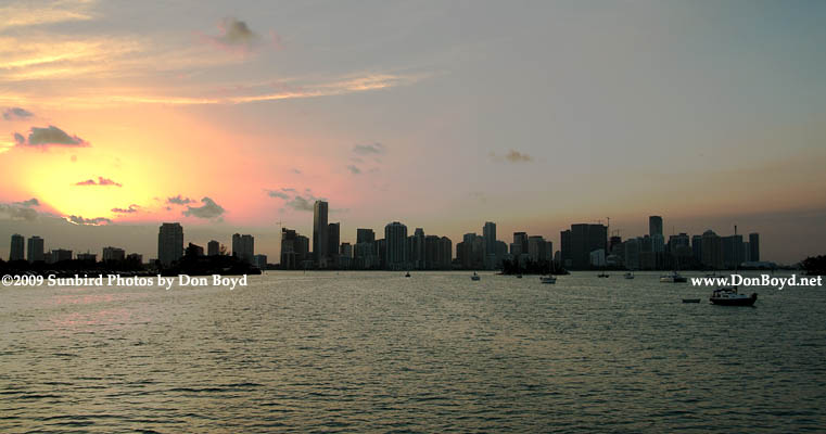 2009 - Miamis high rise buildings at sunset (#1666)