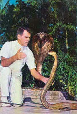 Bill Haast and a cobra at the Miami Serpentarium