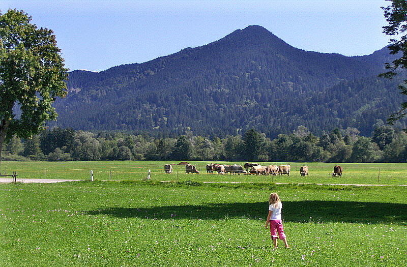 GIRL IN THE MEADOW