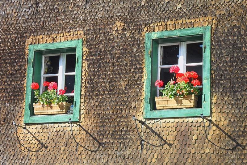 TWIN WINDOWS