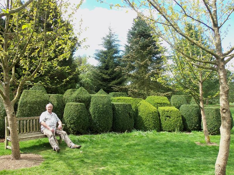 PINETUM REST SPOT