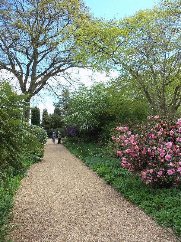 TOP GARDEN PATHWAY