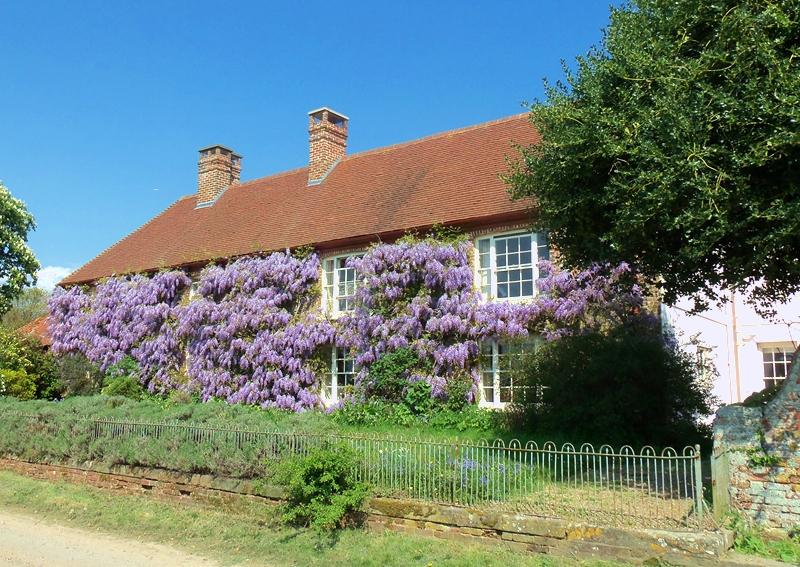 WISTERIA CLAD HOUSE . 1