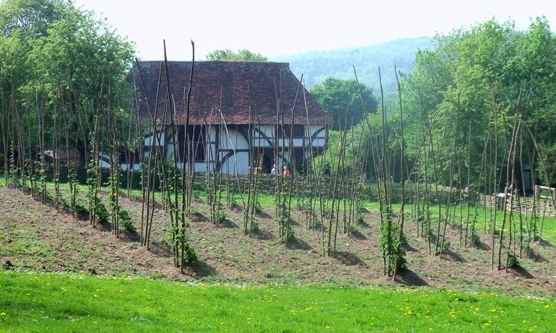 FARMSTEAD  VEGETABLE PLOT