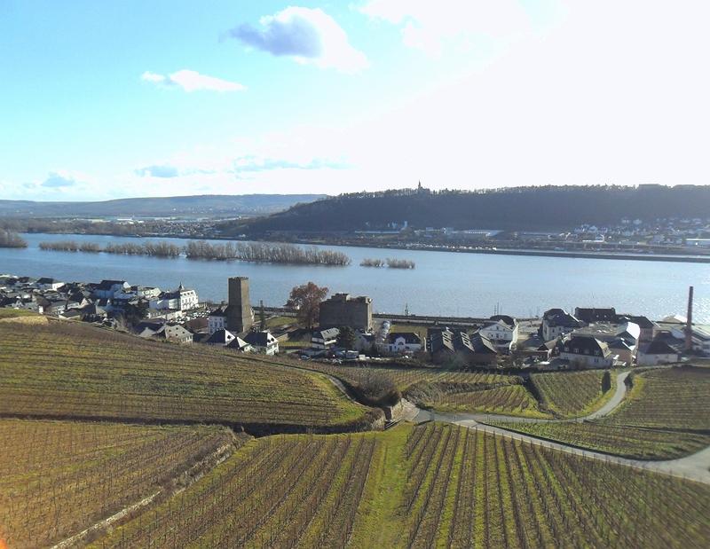 TOWN & THE RHINE