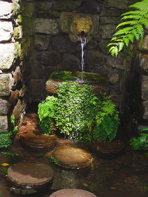A WATER FEATURE . 1   789