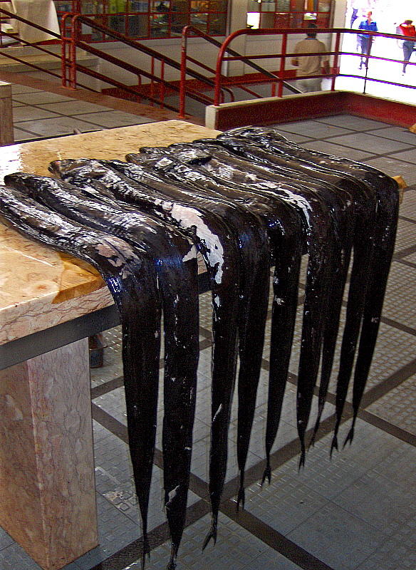 SCABBARD FISH