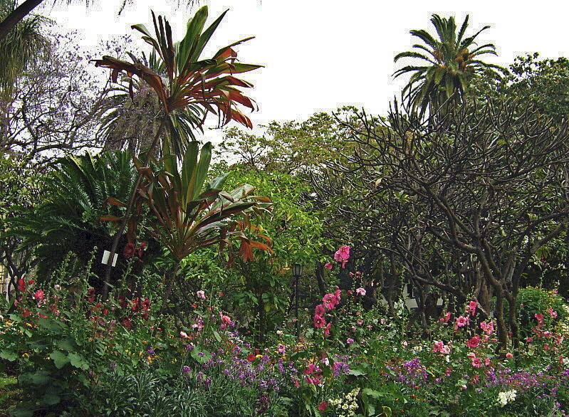 JARDIM DE SAO FRANCISCO . 4