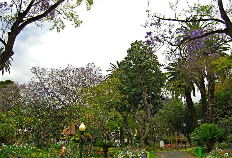 JARDIM DE SAO FRANCISCO . 3