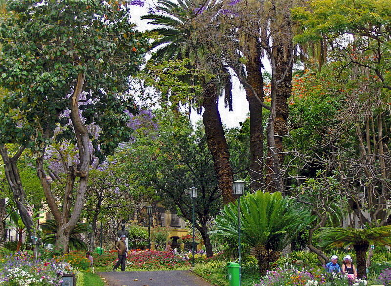 JARDIM DE SAO FRANCISCO . 2