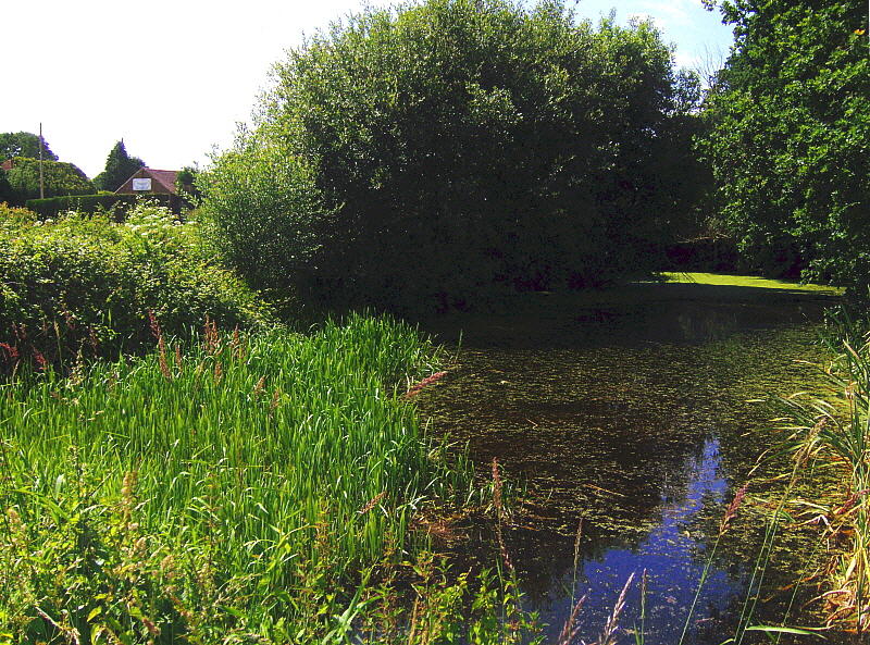 POND 1