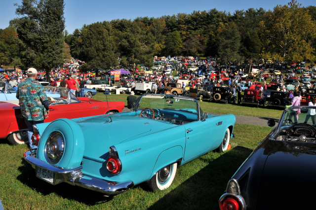 1956 Ford Thunderbird (2532)
