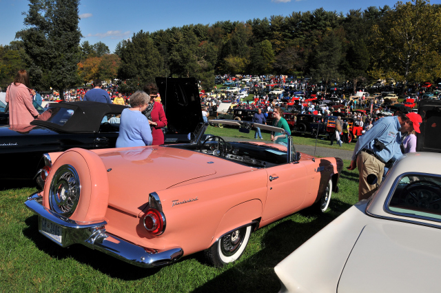 1956 Ford Thunderbird (2534)