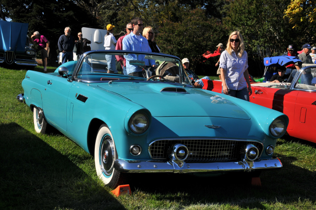 1956 Ford Thunderbird (2541)