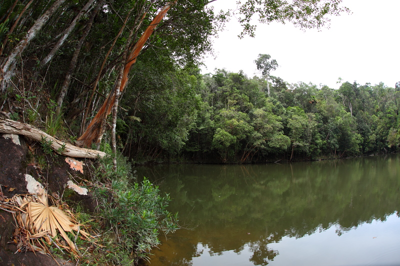 Buaya Sangkut Upper Waterfalls