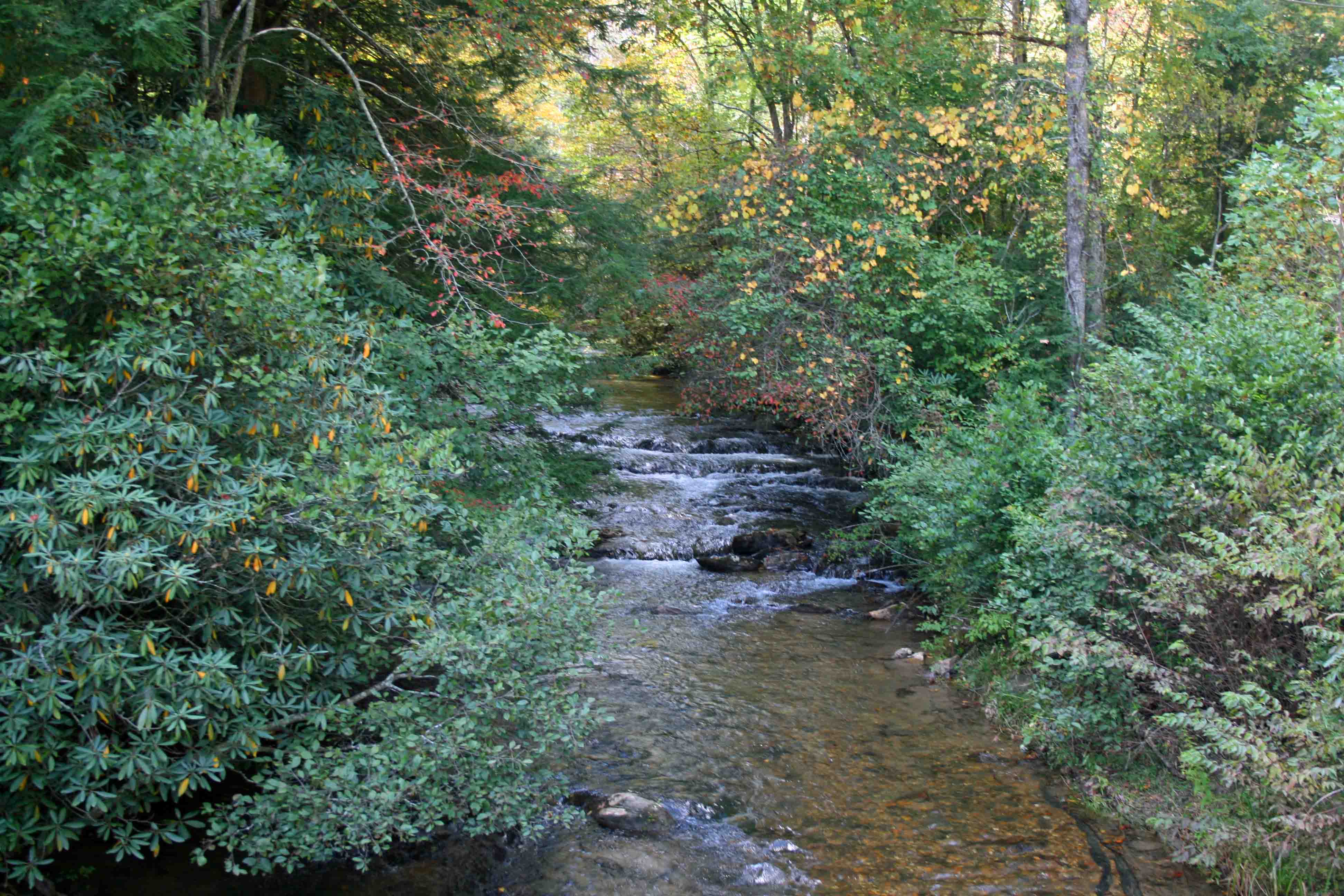 Cashes Valley Creek North