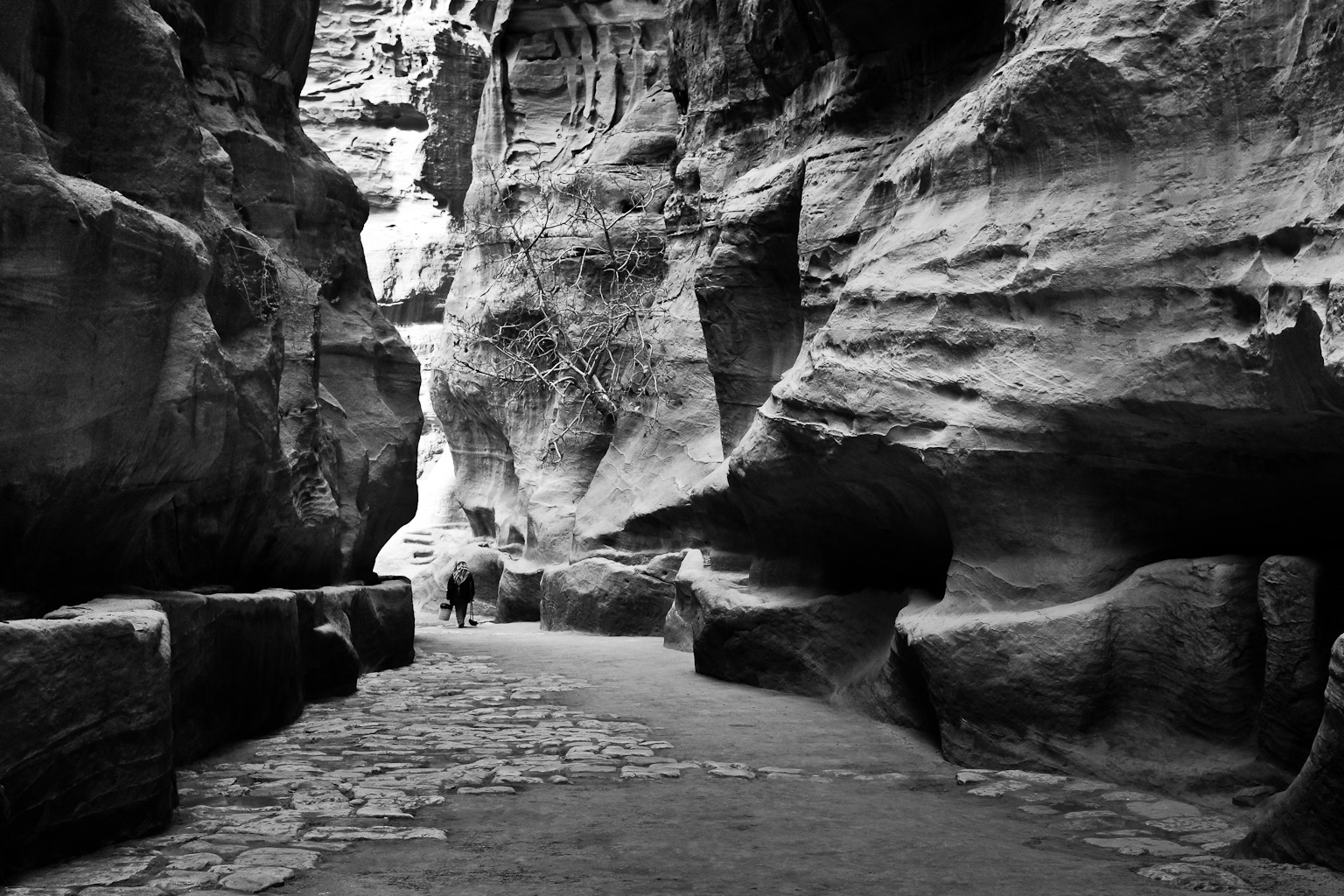 Petra -the Siq -Jordan