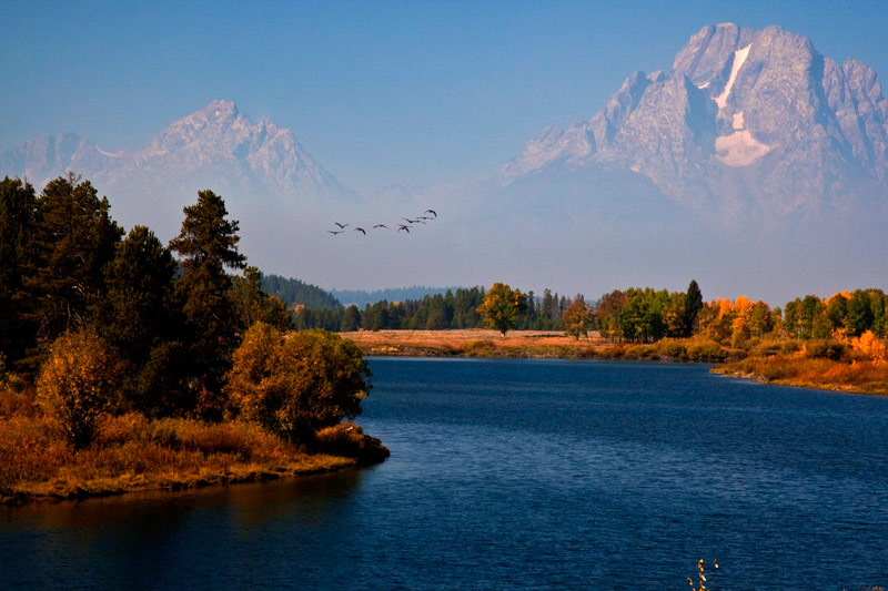 Autumn at Oxbow Bend, Grand Teton NP... Mount Moran in the background