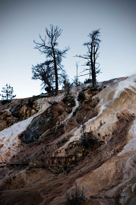 Terrain at Mammoth Springs