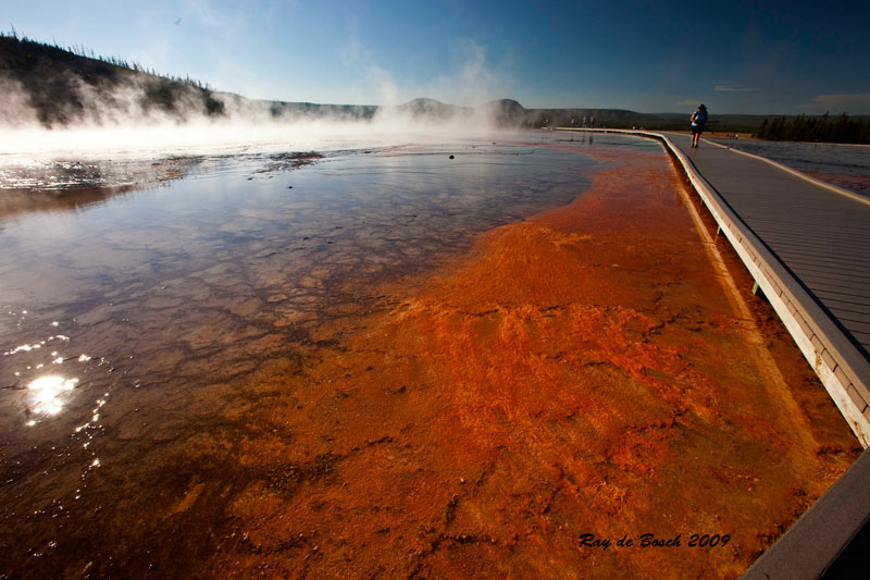 Grand Prismatic Pool with surrounding bacterial mats