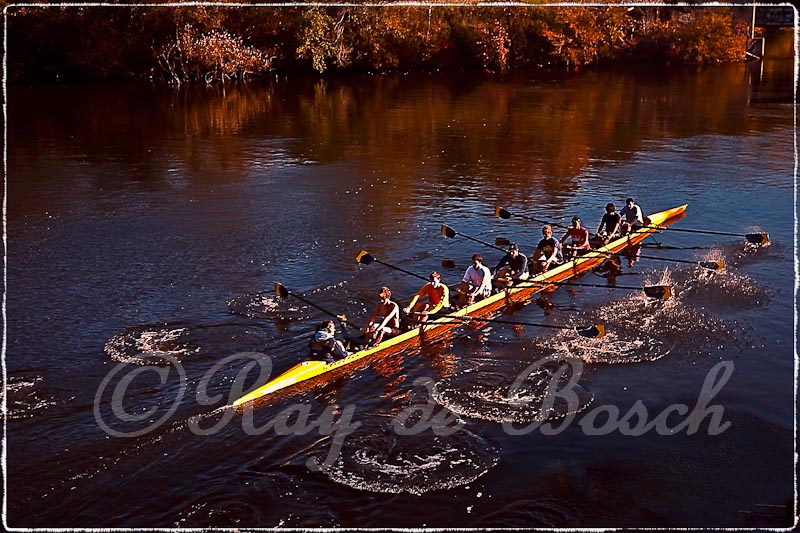 the U of Michigan rowing team