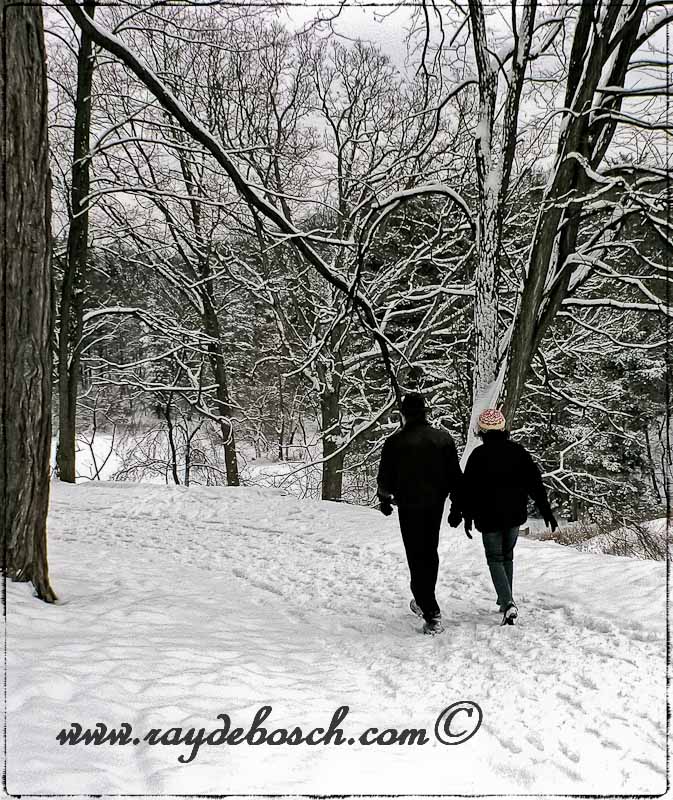Taking a walk at the Arboreteum