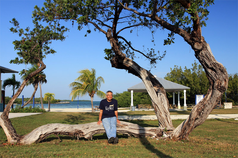 just takin a break... Naples, FL...