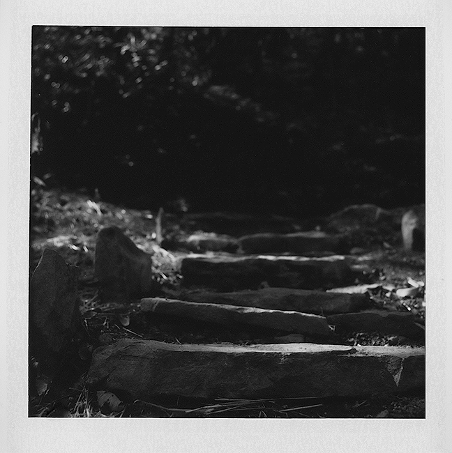 Steps