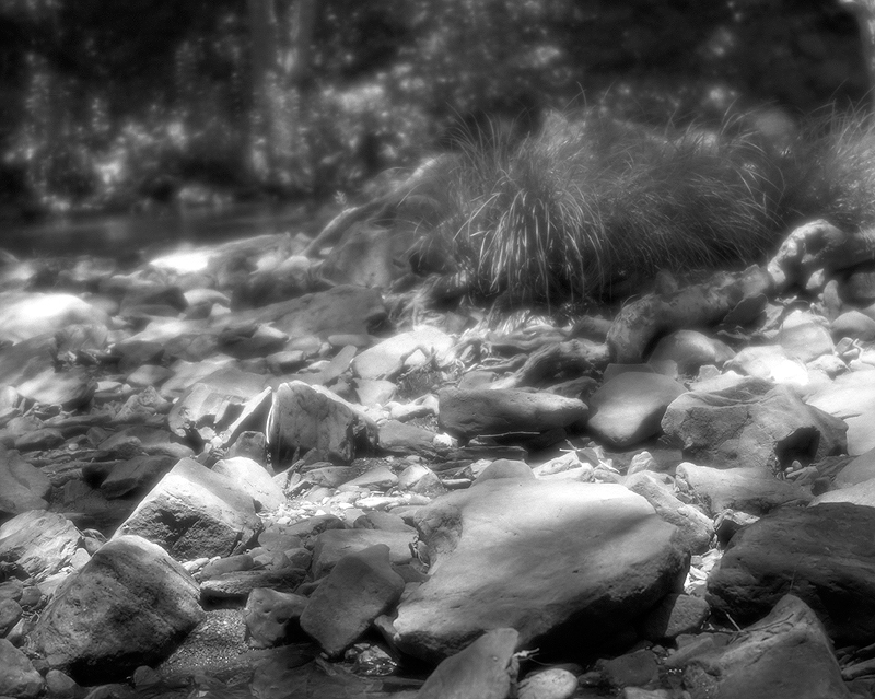 Rocks and Grass