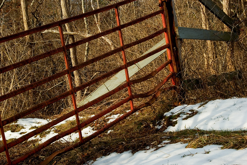 Red Fence