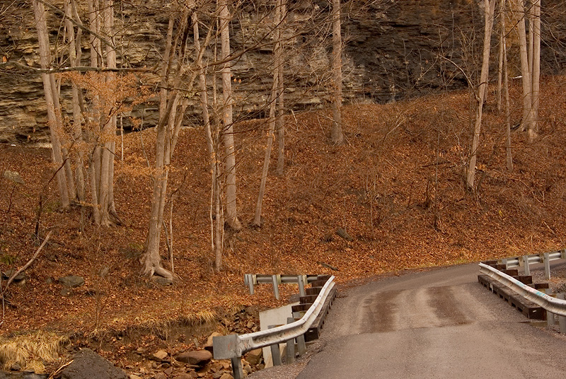Bridge