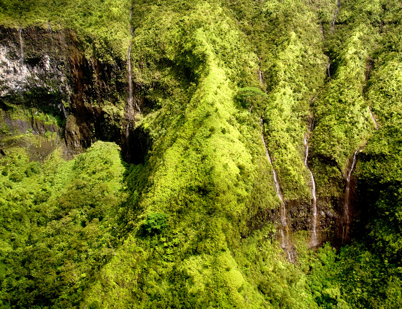 What a surprise! Another waterfall.