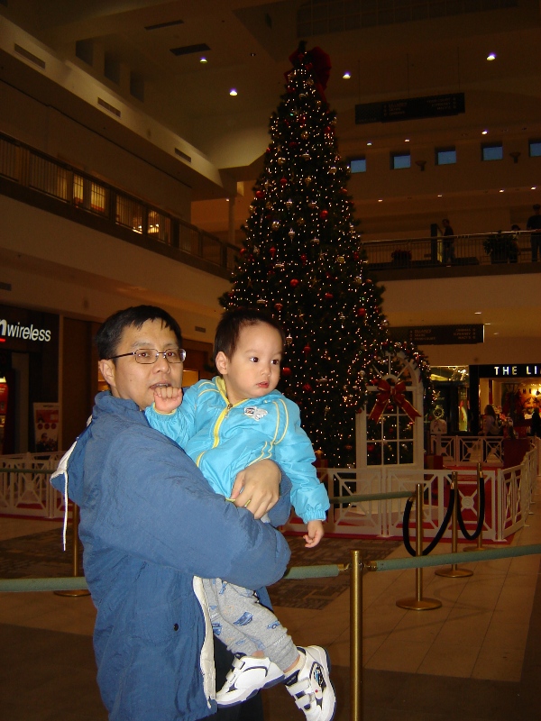 Mall 裡的大聖誕樹前