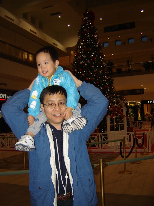 Mall 裡的大聖誕樹前