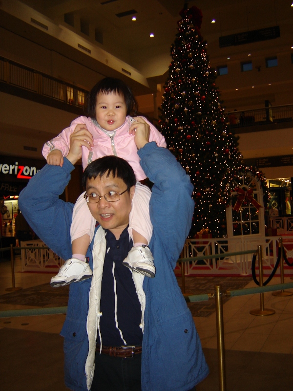 Mall 裡的大聖誕樹前