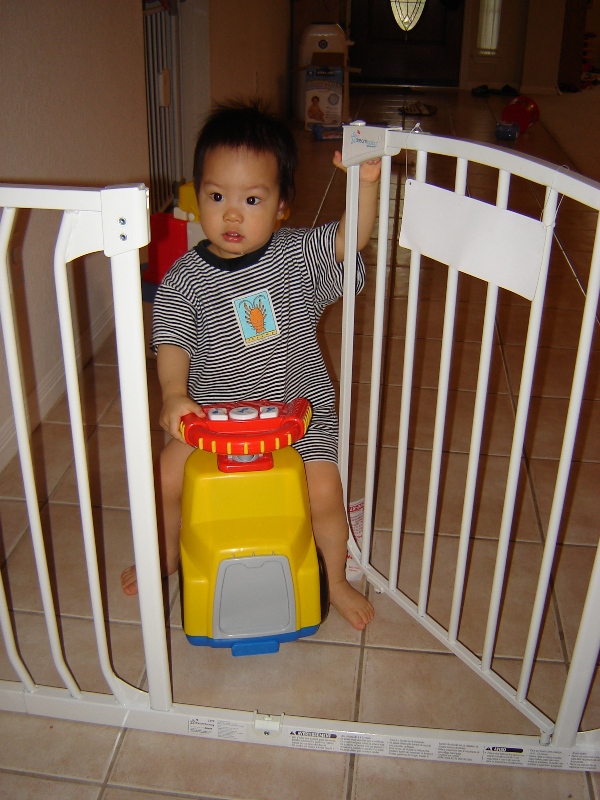 聚聚想騎車過柵欄