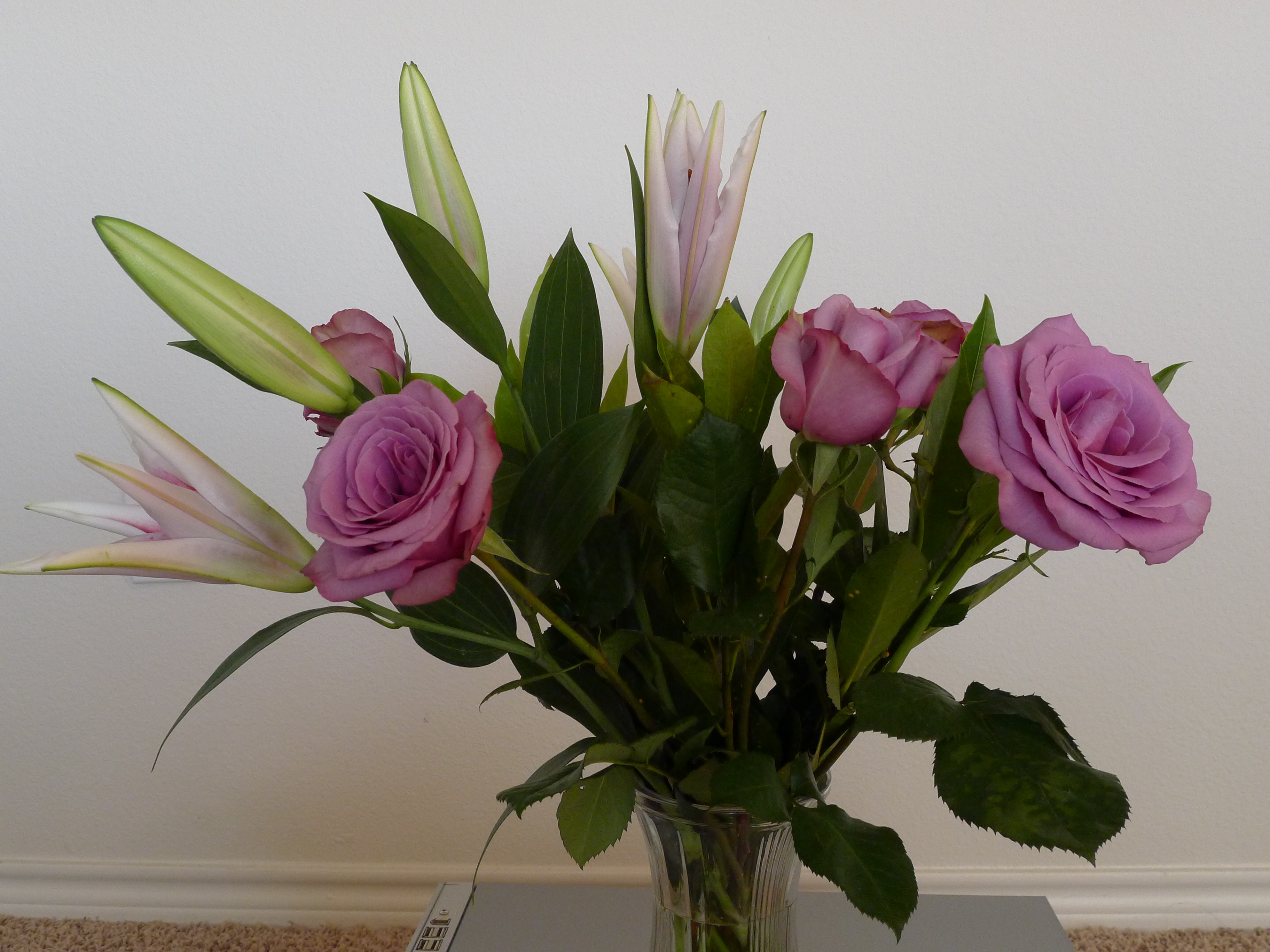 P1010241.JPG
