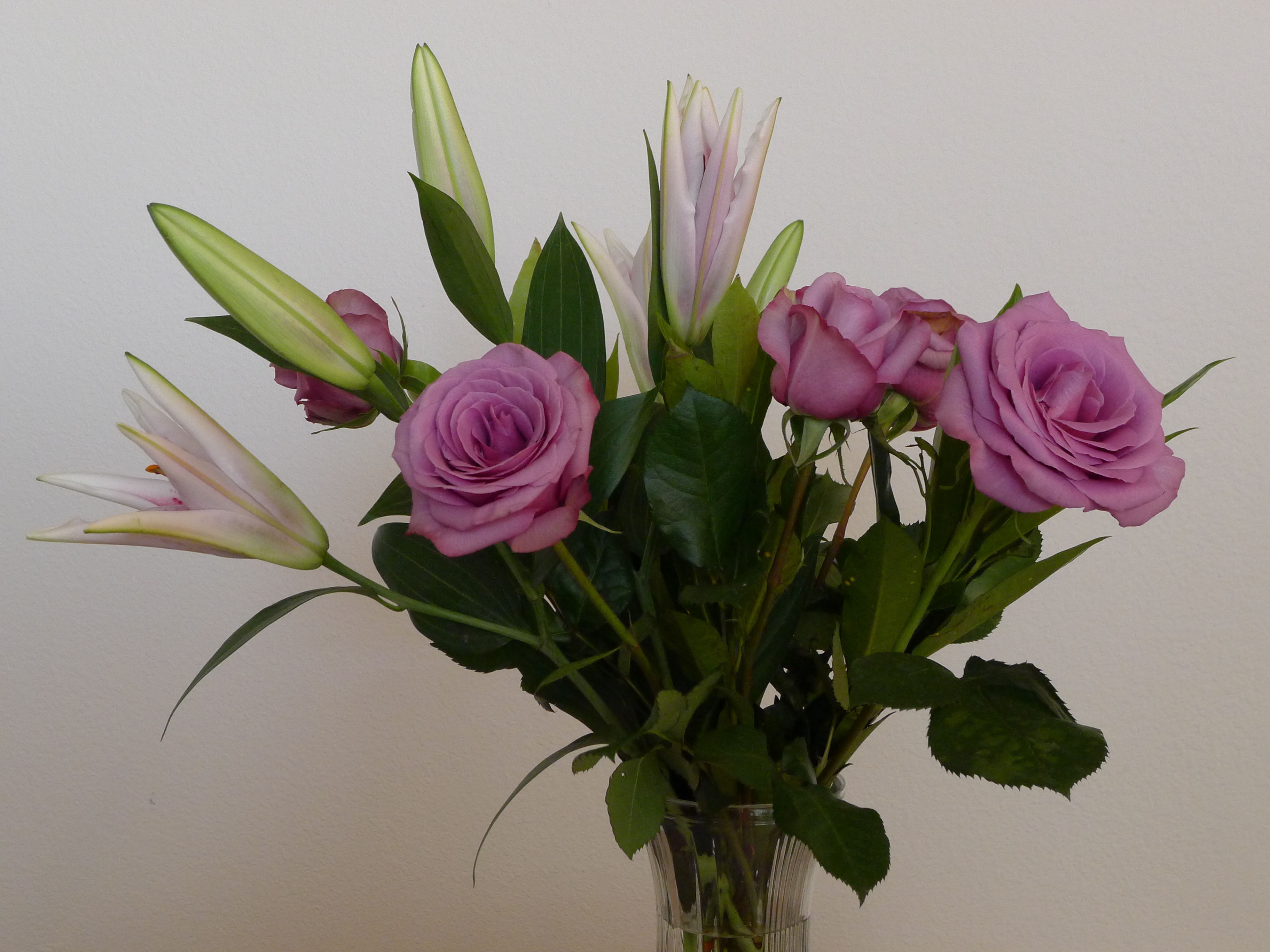 P1010243.JPG