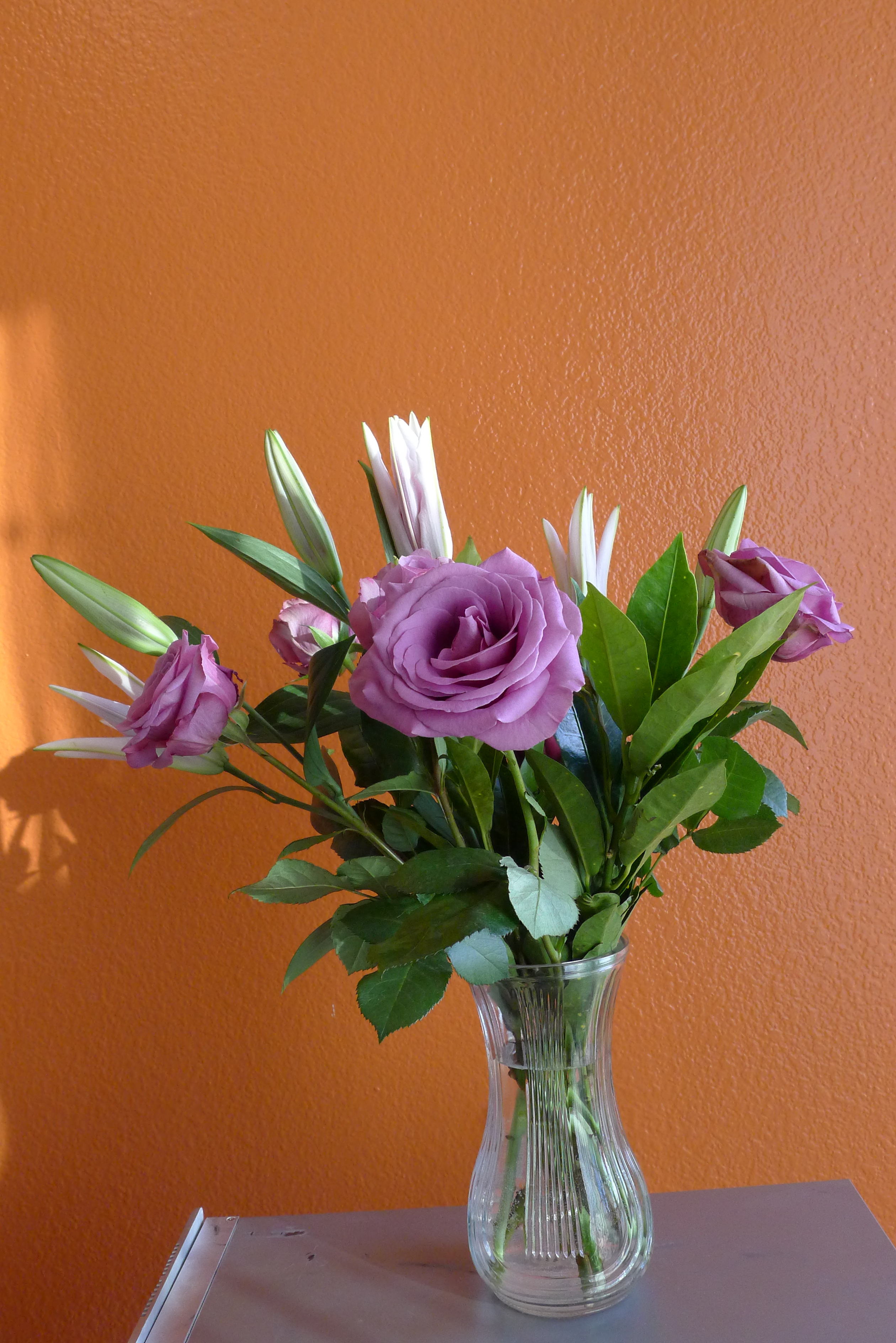 P1010251.JPG