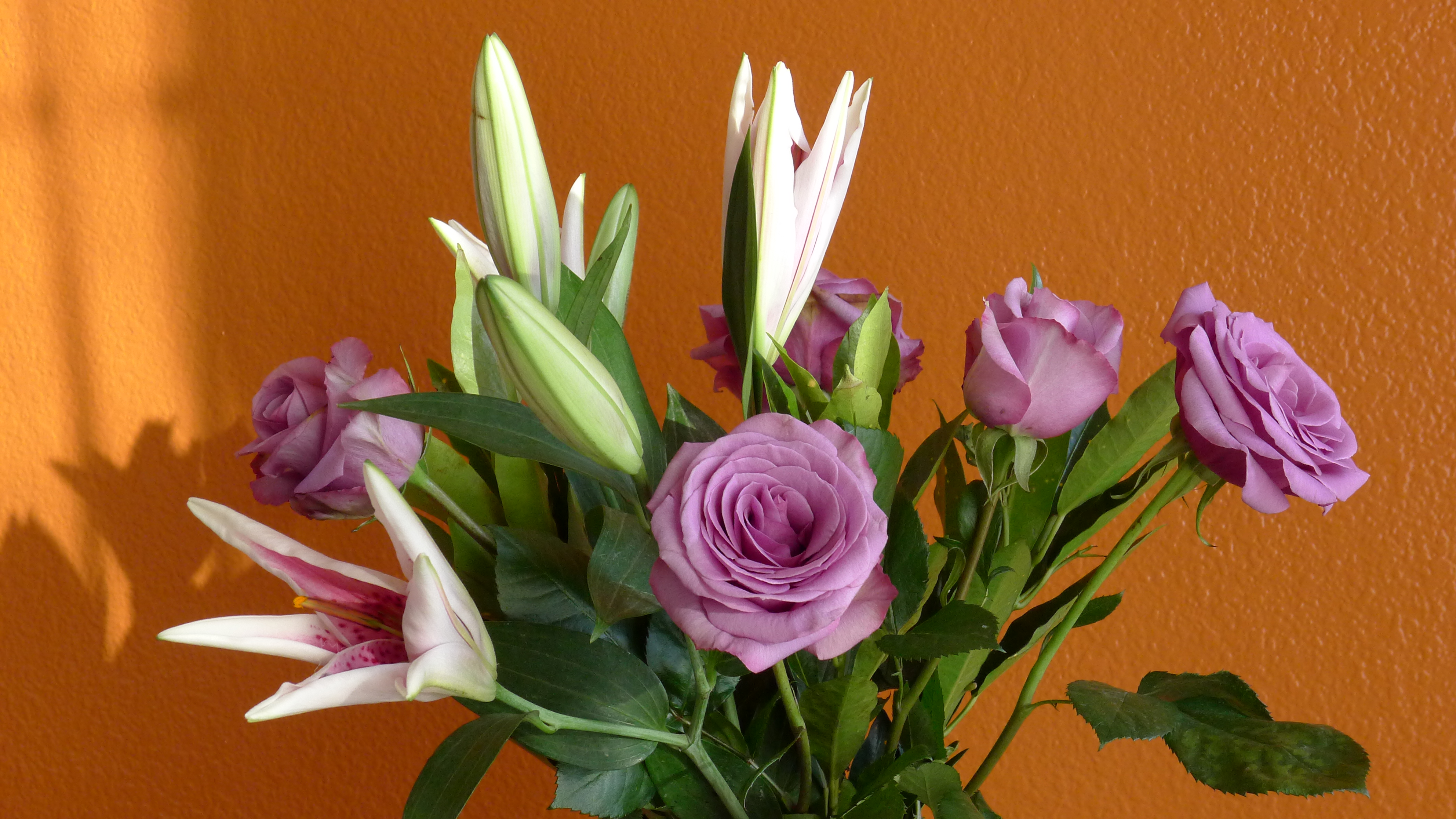 P1010258.JPG