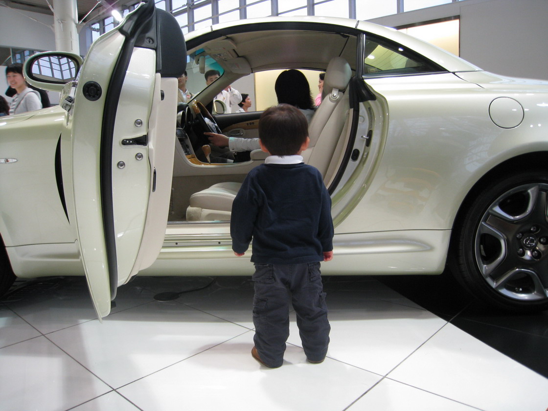 IMG_0429_resize.JPG
