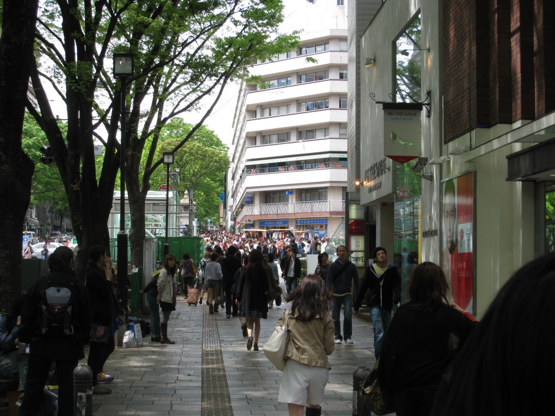 IMG_0489_resize.JPG